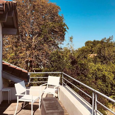 Hotel La Villa Saint-Pierre-dʼIrube Kültér fotó